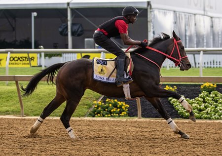 Luna Belle gallops May 19 at Pimlico Race Course