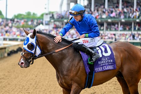 Jockey Tyler Gaffalione gives Santin a pat after the pair's victory in the Turf Classic at Churchill Downs