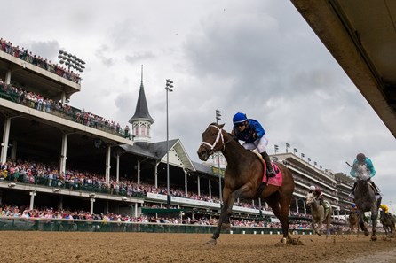 Kentucky Derby pedigree profile: Honor Marie