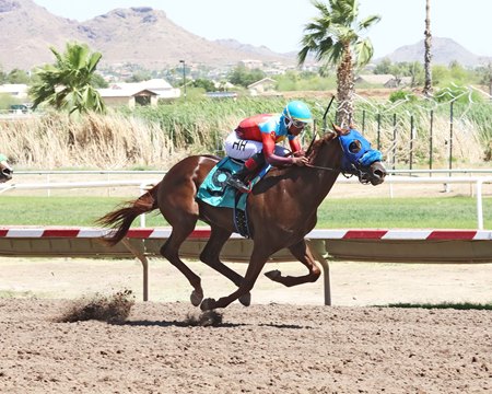 One in Vermillion wins the Open Spring Futurity at Turf Paradise
