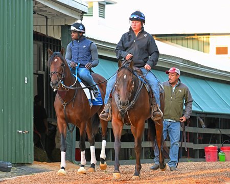 Epicenter (left) prepares to head to the track at Pimlico Race Course 
