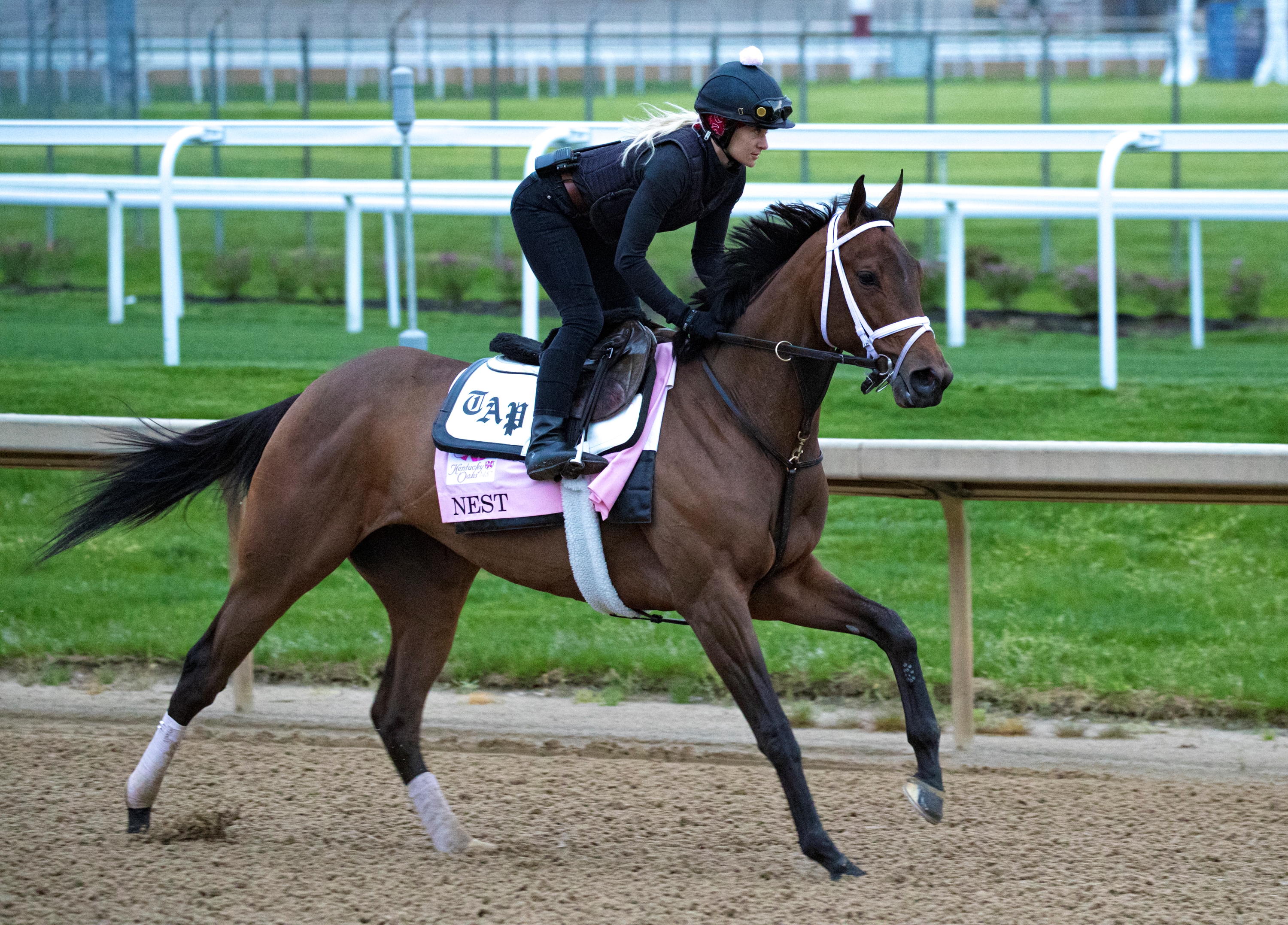 Nest Installed as 5 2 Kentucky Oaks Favorite BloodHorse