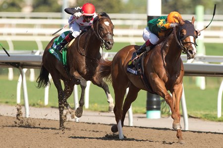Arzak wins the Jacques Cartier Stakes at Woodbine Racetrack