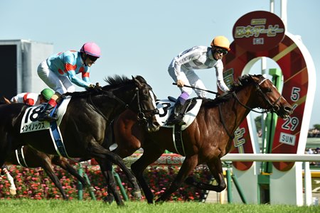 Do Deuce defeats Equinox in the Tokyo Yushun at Tokyo Racecourse