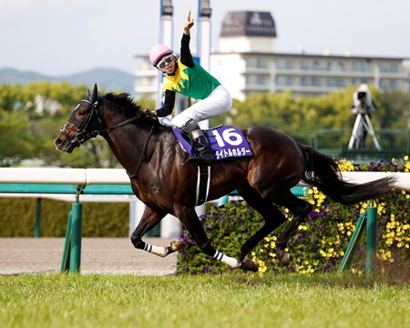 Titleholder wins the Tenno Sho (Spring) at Hanshin Racecourse