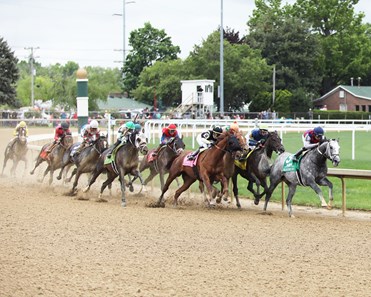 Three Technique - Horse Profile - BloodHorse