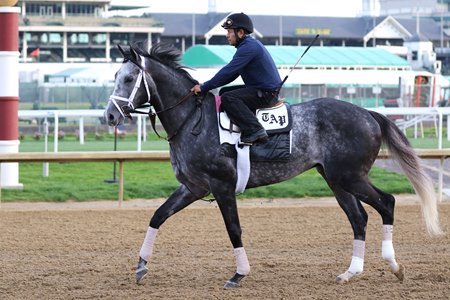 Colonel Liam trains in May at Churchill Downs