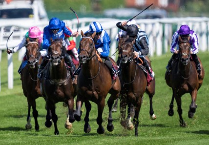 Baaeed (GB) - Horse Profile - BloodHorse