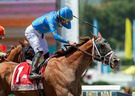 Hollywood Gold Cup Stakes (G1): There Goes Harvard - BloodHorse