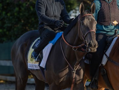 Adare Manor - Horse Profile - BloodHorse