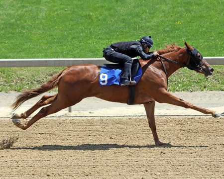The Neolithic filly consigned as Hip 9 works an eighth of a mile in :10.0 at the Fasig-Tipton Midlantic Sale