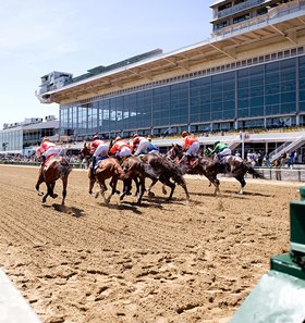 Horse racing at Pimlico Race Course