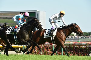 Do Deuce wins the Japanese Derby at Tokyo Racecourse