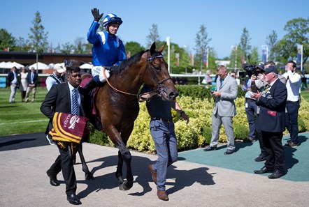 Baaeed (GB) - Horse Profile - BloodHorse