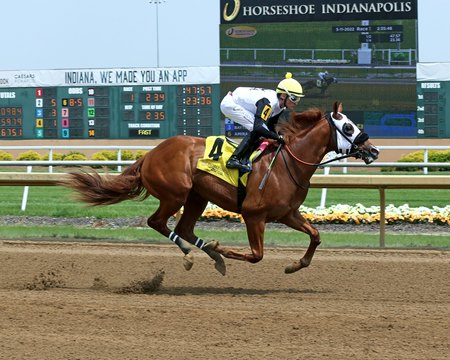 Huntertown romps to a 6 3/4-length win in his debut May 11 at Horseshoe Indianapolis