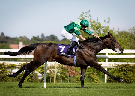 Stone Age wins the Derby Trial Stakes at Leopardstown
