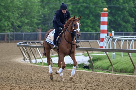 Fenwick gallops May 19 at Pimlico Race Course