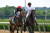Echo Zulu before being scratched at the gate in the Acorn Stakes at Belmont Park