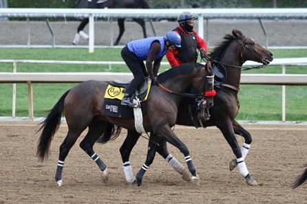 Hot Rod Charlie - Horse Profile - BloodHorse