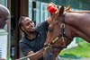 Family affair, as Jerry Dixon, Sr., left, holds the lead shank,. as his son, Jerry Dixon, Jr. brushes Rich Strike’s forelock, as the colt prepares for the running of the 154th Belmont Stakes, (GR 1), on Saturday, June 11, 2022.