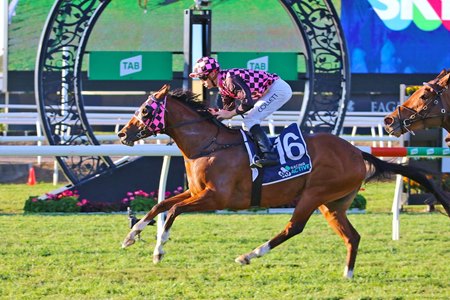 Startantes wins the 2022 Tattersall's Tiara at Eagle Farm