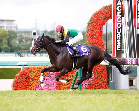 Titleholder wins the Takarazuka Kinen at Hanshin Racecourse