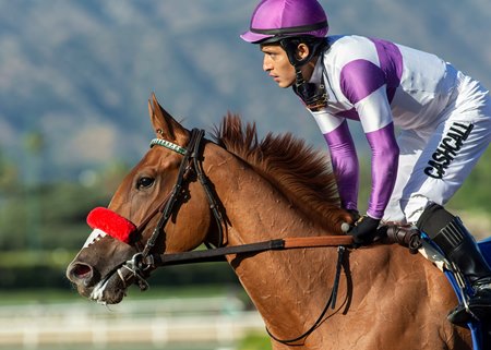 Absolutely Zero wins the Fasig-Tipton Futurity at Santa Anita Park