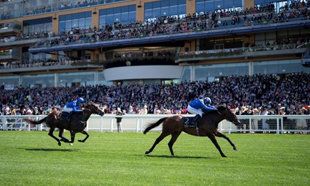 Baaeed (GB) - Horse Profile - BloodHorse