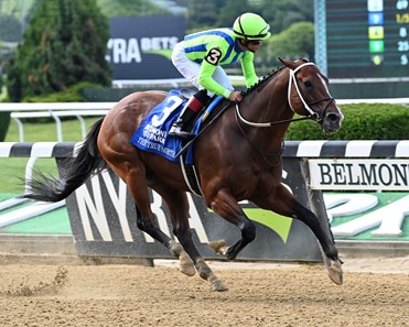 Jackie's Warrior - Horse Profile - Bloodhorse