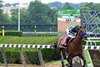 Flightline soars home in the Metropolitan Handicap at Belmont Park