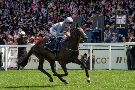 Dramatised wins the Queen Mary Stakes at Ascot Racecourse