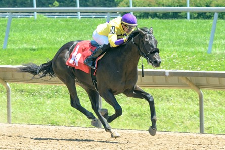 Bright Forecast winning at Delaware Park on 6/30/22
First winner for Cloud Computing
