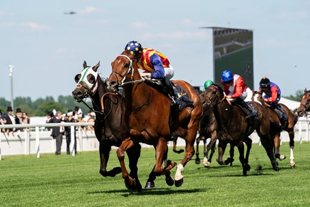 Nature Strip wins the 2022 King's Stand Stakes at Ascot Racecourse