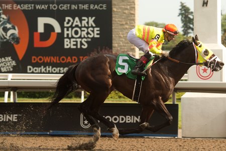 Velocitor breaks his maiden at Woodbine