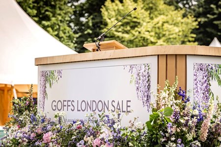 The Goffs London Sale
