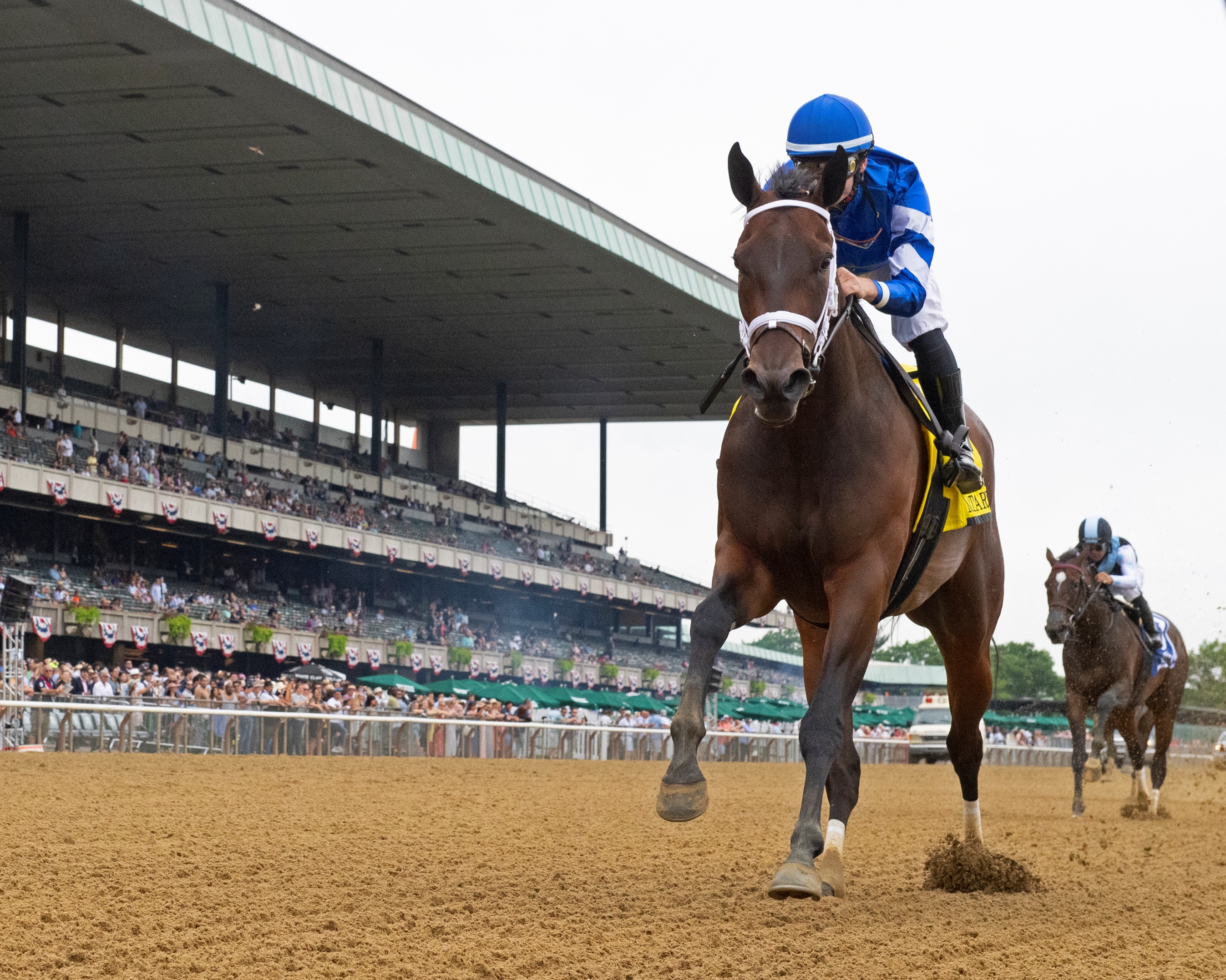 Matareya Looms Large in Test Stakes BloodHorse