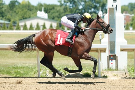Excitement wins his racing debut by 1 1/2 lengths June 28 at JACK Thistledown