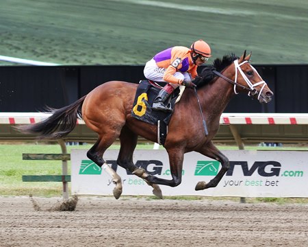 Major Dude wins his debut at Monmouth Park