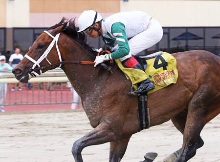 Chub Wagon wins the Power by Far Stakes at Parx Racing