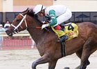 Last year&#39;s Horse of the Year, Chub Wagon #4, made her 2022 debut a winning one, with jockey Silvestre Gonzalez aboard for the $100,000 Power by Far Stakes on June 27, 2022 at Parx Racing in Bensalem, PA. Chub Wagon is now 11 for 12 lifetime thanks to the training of Guadalupe Preciado. The five-year-old Pennsylvania-Bred mare is owned by Joseph Imbesi and George Chestnut. Photo by Nikki Sherman/EQUI-PHOTO.