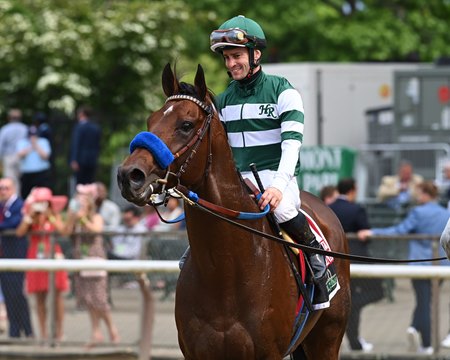 Flightline after his victory in the Metropolitan Handicap at Belmont Park 