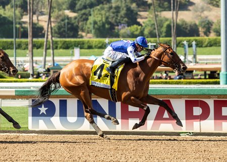 Private Mission wins the Santa Maria Stakes at Santa Anita Park