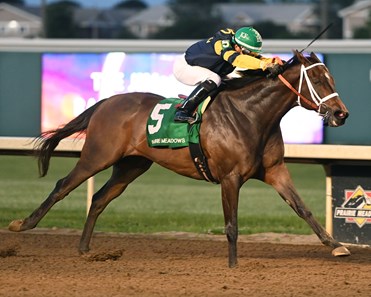 Ax Man - Horse Profile - BloodHorse
