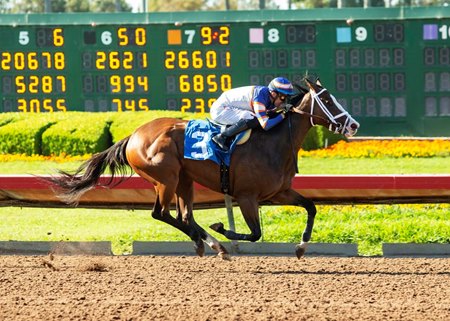 Becca Taylor wins the 2022 Great Lady M Stakes at Los Alamitos Race Course