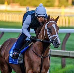 Cyberknife trains July 30 at Saratoga Race Course