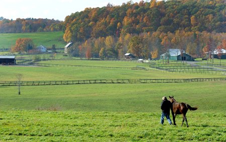 McMahon of Saratoga Thoroughbreds
