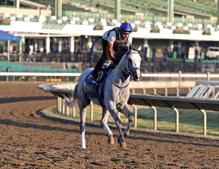 White Abarrio trains over the summer at Monmouth Park