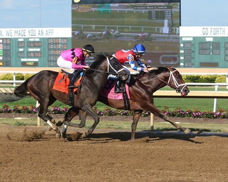 Video: How to play the Indiana Derby all-stakes Pick 5