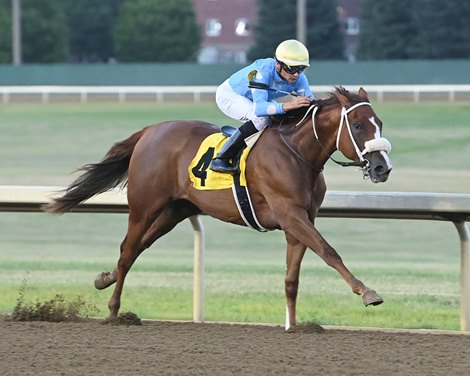 My Happiness First North American Winner for Bee Jersey - BloodHorse