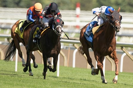 Breeders' Cup Winner Twilight Gleaming Heads Mamzelle - BloodHorse